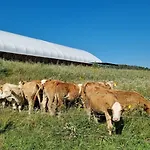 Farm stay Ranci V Busi - Ve Srubu Cim
