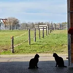 Farm stay Ranci V Busi - Ve Srubu Cim