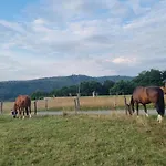 Farm stay Ranci V Busi - Ve Srubu