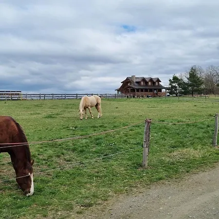 Ranci V Busi - Ve Srubu