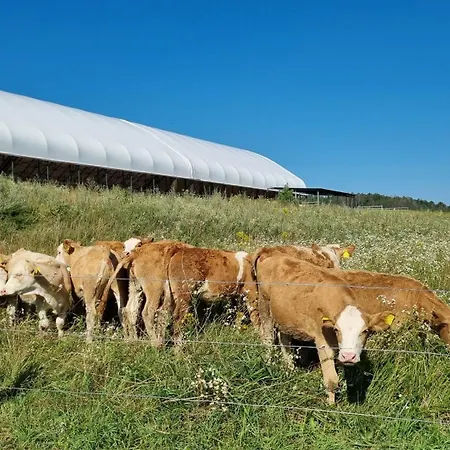 Farm stay Ranci V Busi - Ve Srubu Cim