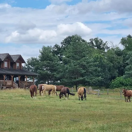 Bauernhof Ranci V Busi - Ve Srubu *