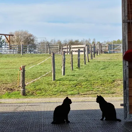 Farm stay Ranci V Busi - Ve Srubu Cim