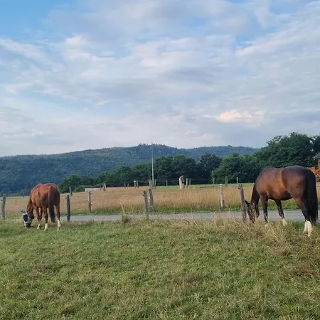 Farmház Ranci V Busi - Ve Srubu
