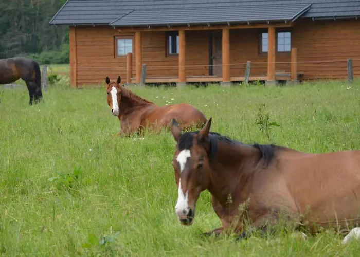 Ranci V Busi - Ve Srubu Фермерский дом