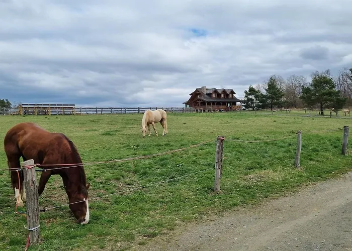 Ranci V Busi - Ve Srubu