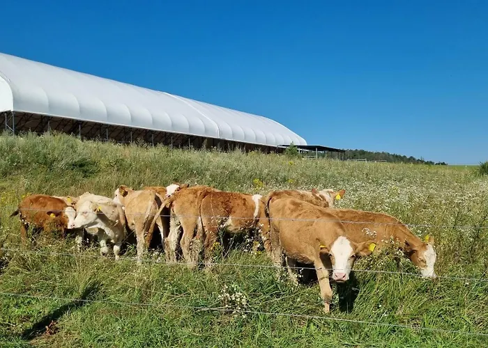 Agroturismo Ranci V Busi - Ve Srubu Cim