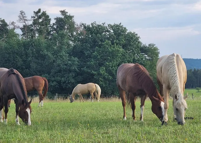Ranci V Busi - Ve Srubu * Cim